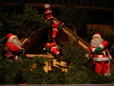 Weihnachtsbäume Uhlandhof in Hattenhofen Kreis Göppingen und Kirchheim